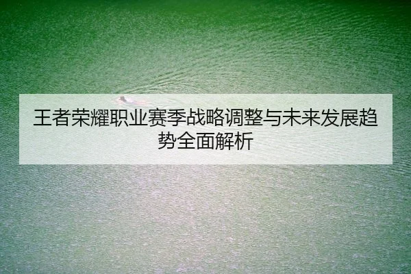 wang-zhe-rong-yao-zhi-ye-sai-ji-zhan-lve-tiao-zheng-yu-wei-lai-fa-zhan-qu-shi-quan-mian-jie-xi-2-398.jpg